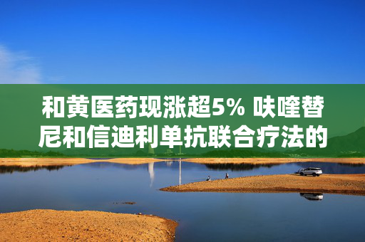 和黄医药现涨超5% 呋喹替尼和信迪利单抗联合疗法的新药上市申请获受理