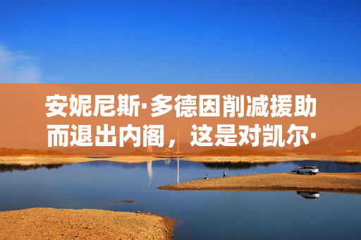 安妮尼斯·多德因削减援助而退出内阁，这是对凯尔·斯塔默的打击