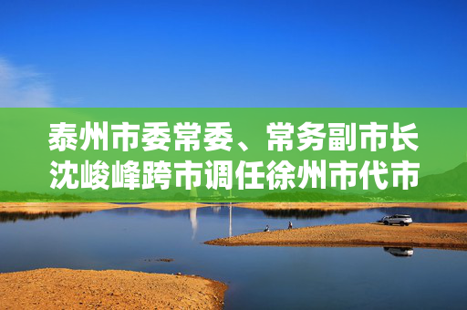 泰州市委常委、常务副市长沈峻峰跨市调任徐州市代市长