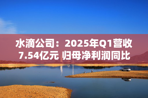 水滴公司：2025年Q1营收7.54亿元 归母净利润同比增长34.2%