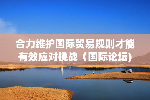 合力维护国际贸易规则才能有效应对挑战（国际论坛)