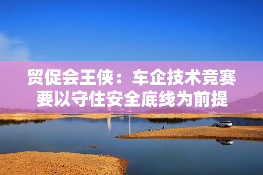贸促会王侠：车企技术竞赛要以守住安全底线为前提