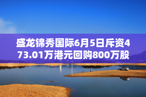 盛龙锦秀国际6月5日斥资473.01万港元回购800万股