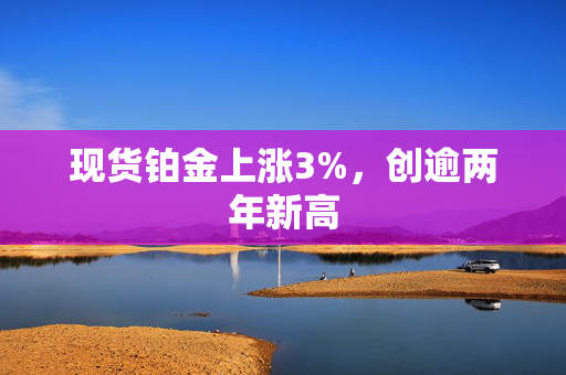 现货铂金上涨3%，创逾两年新高
