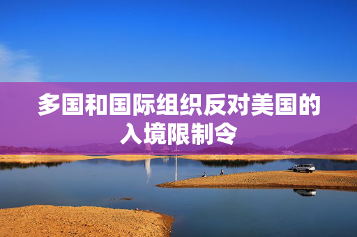 多国和国际组织反对美国的入境限制令