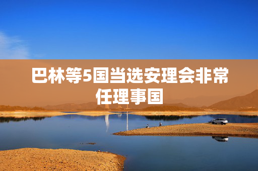 巴林等5国当选安理会非常任理事国