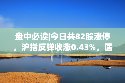 盘中必读|今日共82股涨停，沪指反弹收涨0.43%，医药概念持续大涨