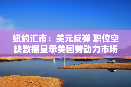 纽约汇市：美元反弹 职位空缺数据显示美国劳动力市场依然稳健