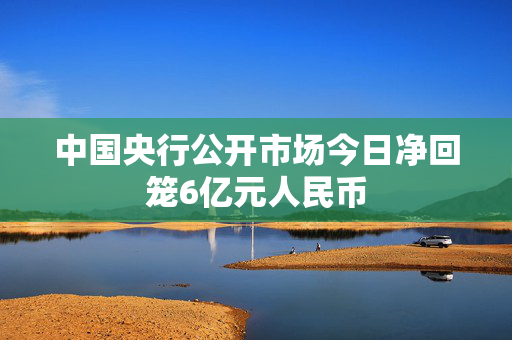 中国央行公开市场今日净回笼6亿元人民币