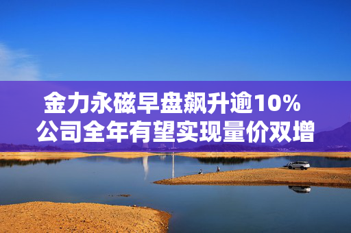 金力永磁早盘飙升逾10% 公司全年有望实现量价双增