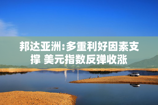 邦达亚洲:多重利好因素支撑 美元指数反弹收涨