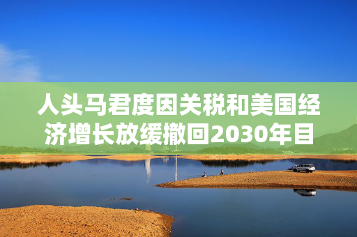 人头马君度因关税和美国经济增长放缓撤回2030年目标