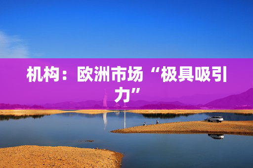 机构：欧洲市场“极具吸引力”