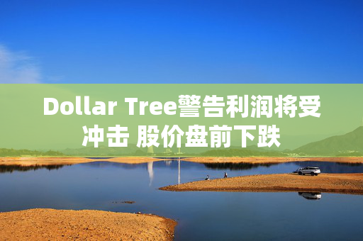Dollar Tree警告利润将受冲击 股价盘前下跌