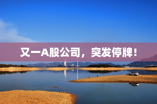 又一A股公司，突发停牌！