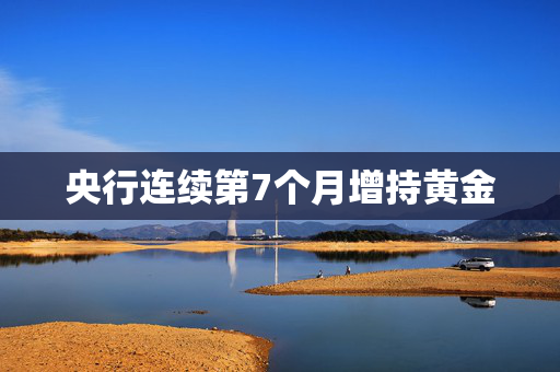央行连续第7个月增持黄金