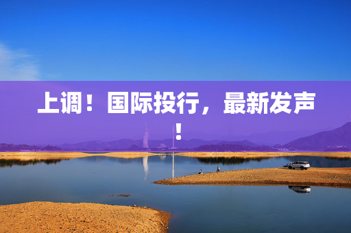 上调！国际投行，最新发声！