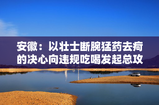 安徽：以壮士断腕猛药去疴的决心向违规吃喝发起总攻