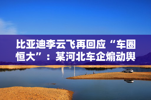 比亚迪李云飞再回应“车圈恒大”：某河北车企煽动舆论，经查没有问题