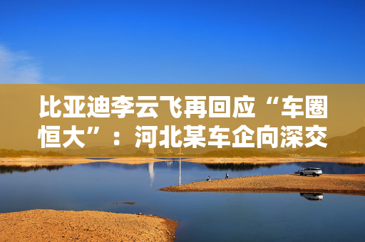 比亚迪李云飞再回应“车圈恒大”：河北某车企向深交所、港交所及监管机构恶意举报比亚迪