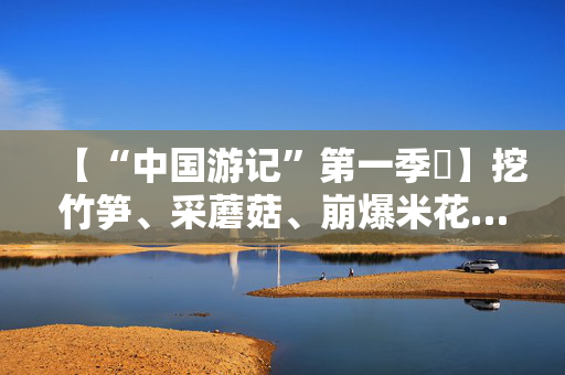 【“中国游记”第一季㊱】挖竹笋、采蘑菇、崩爆米花……老外在中国乡村“玩疯了”！