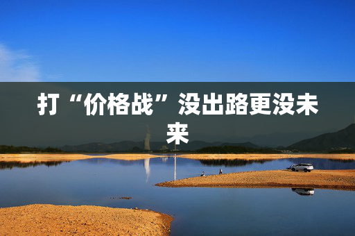 打“价格战”没出路更没未来