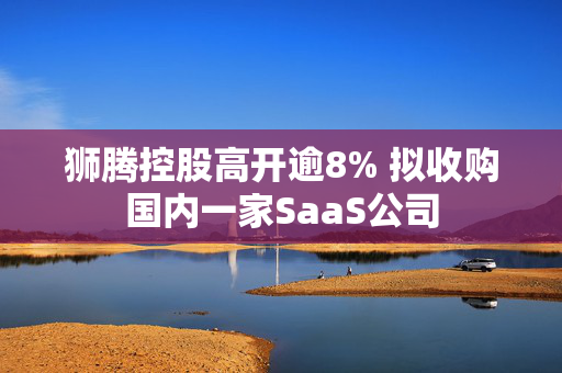 狮腾控股高开逾8% 拟收购国内一家SaaS公司