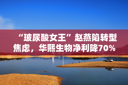 “玻尿酸女王”赵燕陷转型焦虑，华熙生物净利降70%营收落后巨子生物