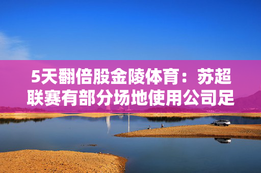 5天翻倍股金陵体育：苏超联赛有部分场地使用公司足球比赛器材