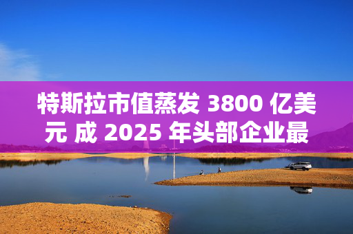 特斯拉市值蒸发 3800 亿美元 成 2025 年头部企业最大跌幅