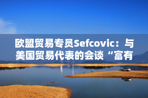 欧盟贸易专员Sefcovic：与美国贸易代表的会谈“富有成效”