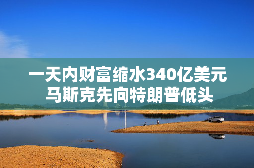 一天内财富缩水340亿美元 马斯克先向特朗普低头
