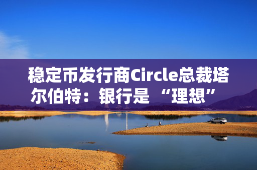 稳定币发行商Circle总裁塔尔伯特：银行是 “理想” 合作伙伴