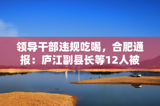 领导干部违规吃喝，合肥通报：庐江副县长等12人被停职检查