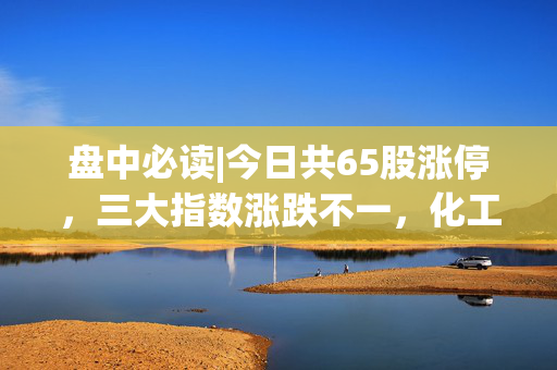 盘中必读|今日共65股涨停，三大指数涨跌不一，化工、有色金属概念逆势活跃