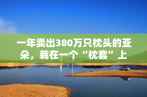 一年卖出380万只枕头的亚朵，栽在一个“枕套”上