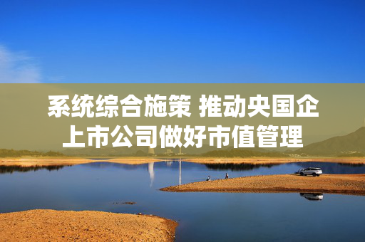 系统综合施策 推动央国企上市公司做好市值管理