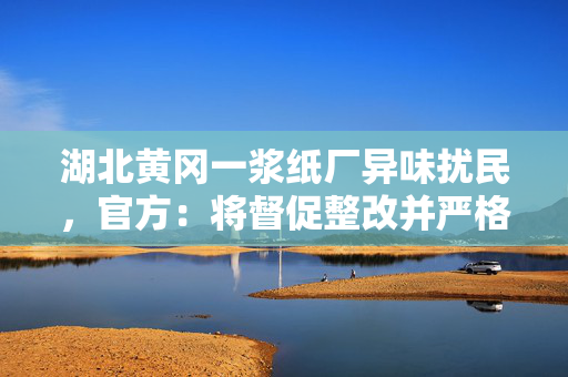 湖北黄冈一浆纸厂异味扰民，官方：将督促整改并严格依法查处
