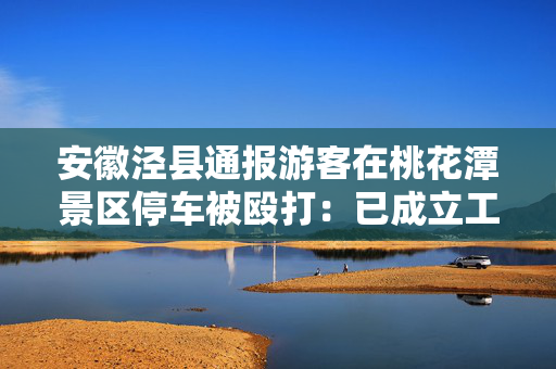 安徽泾县通报游客在桃花潭景区停车被殴打：已成立工作专班全面调查
