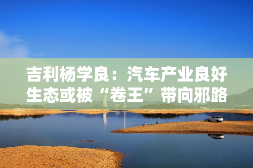 吉利杨学良：汽车产业良好生态或被“卷王”带向邪路