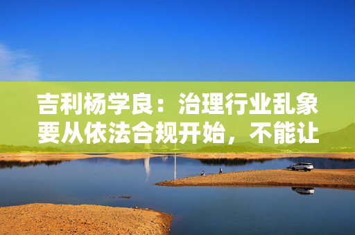吉利杨学良：治理行业乱象要从依法合规开始，不能让遵纪守法者吃亏