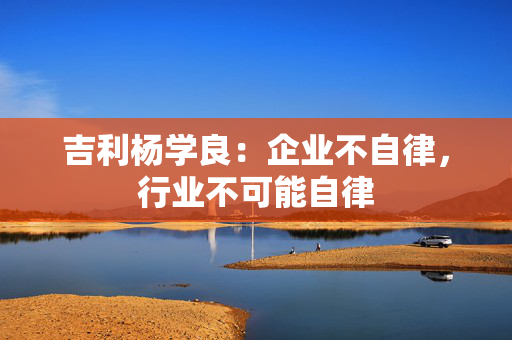 吉利杨学良：企业不自律，行业不可能自律