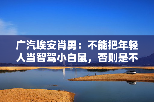 广汽埃安肖勇：不能把年轻人当智驾小白鼠，否则是不讲良心