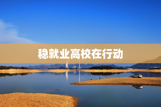 稳就业高校在行动