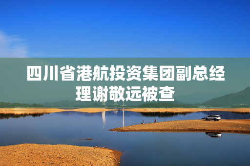 四川省港航投资集团副总经理谢敬远被查
