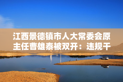 江西景德镇市人大常委会原主任曹雄泰被双开：违规干预插手司法活动