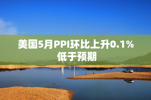 美国5月PPI环比上升0.1% 低于预期