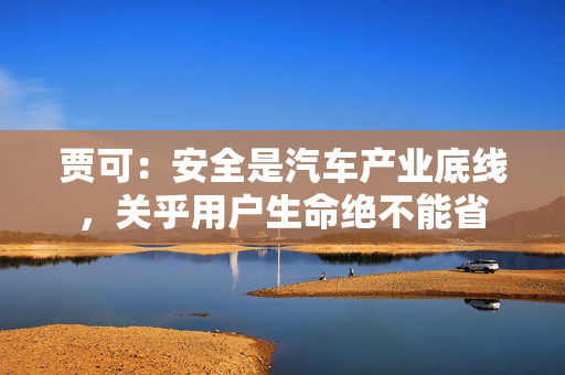贾可：安全是汽车产业底线，关乎用户生命绝不能省
