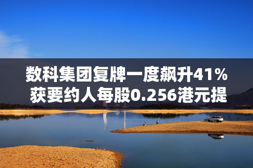 数科集团复牌一度飙升41% 获要约人每股0.256港元提全购要约