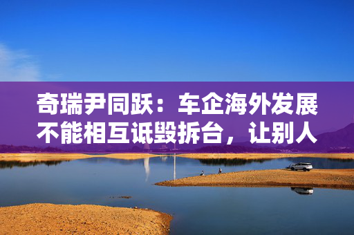 奇瑞尹同跃：车企海外发展不能相互诋毁拆台，让别人笑话